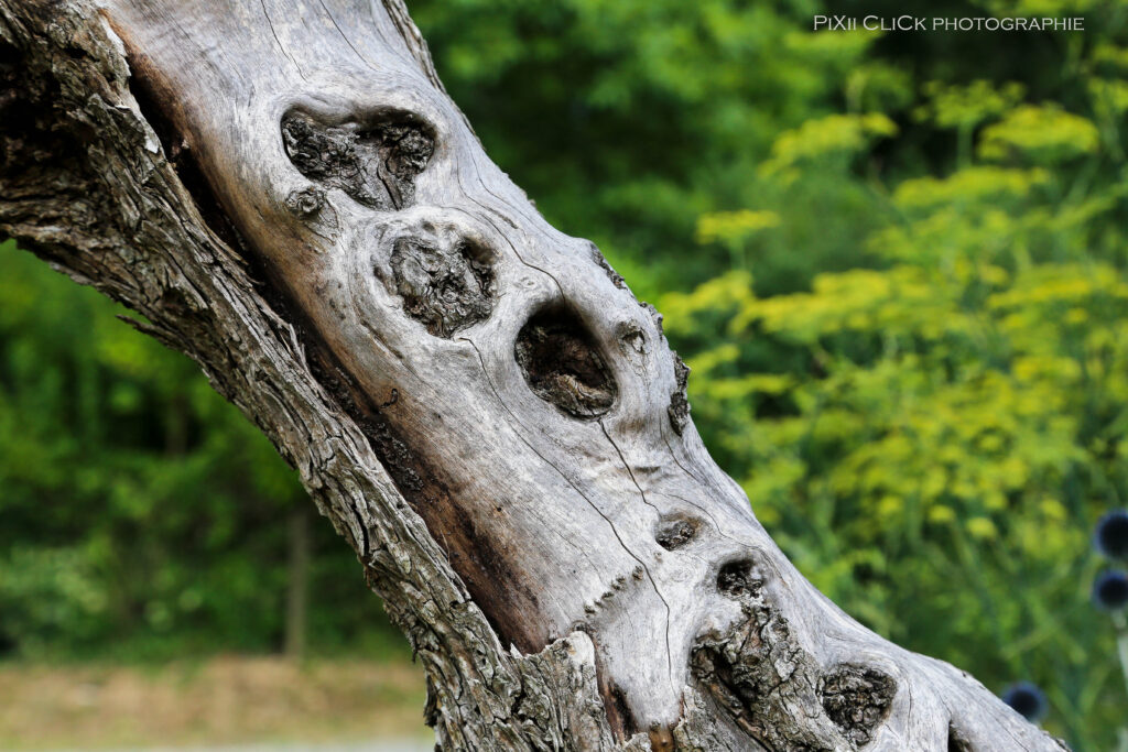 paysagiste_vigneux_de_bretagne